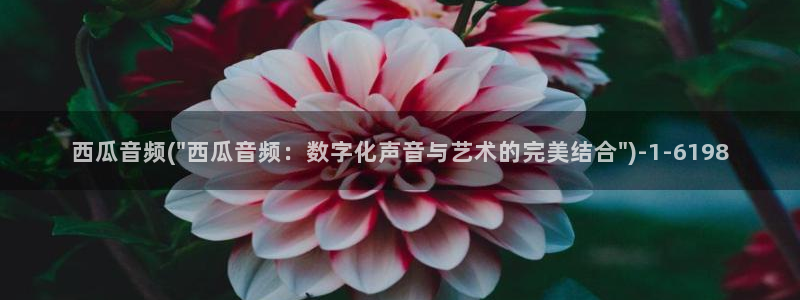 免费观看西瓜电影