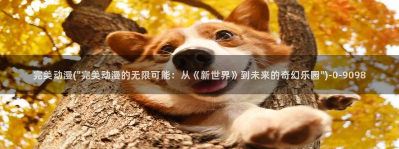 动漫a片