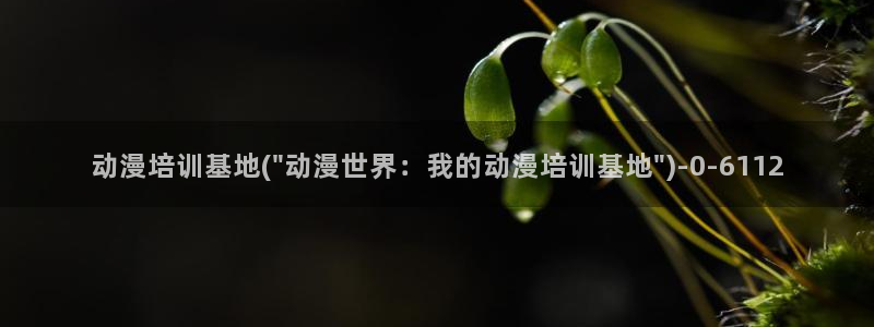 动漫花园