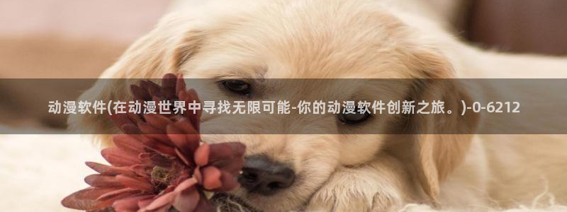 动漫免费看