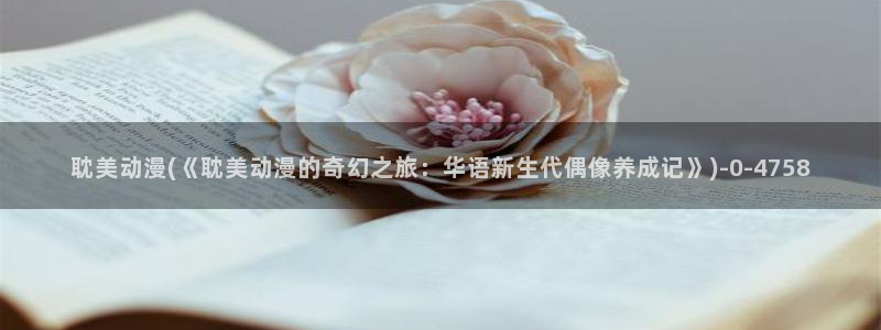 58动漫网站