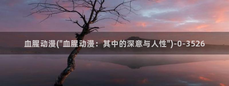 z动漫